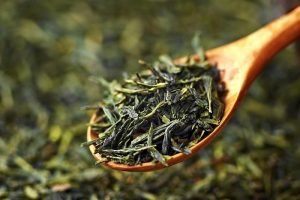 Hojas de té verde