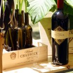 Mejores vinos chilenos que puedes probar