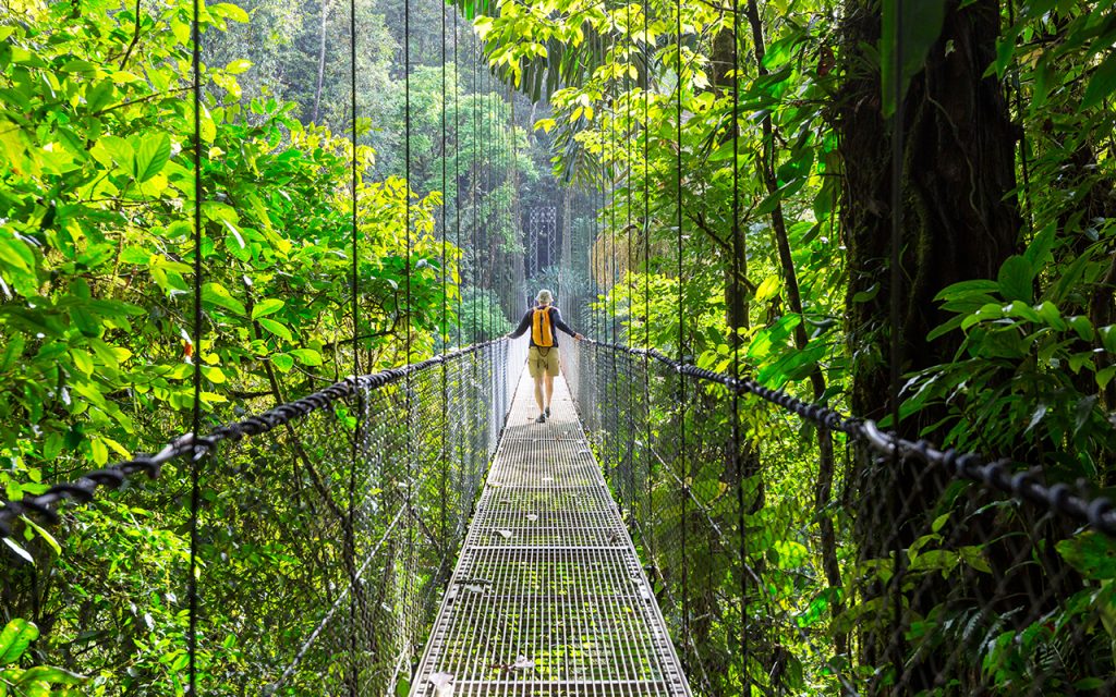 Fauna que puedes encontrar en Costa Rica