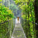 Fauna que puedes encontrar en Costa Rica