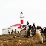 Lugares que debes visitar en Chile