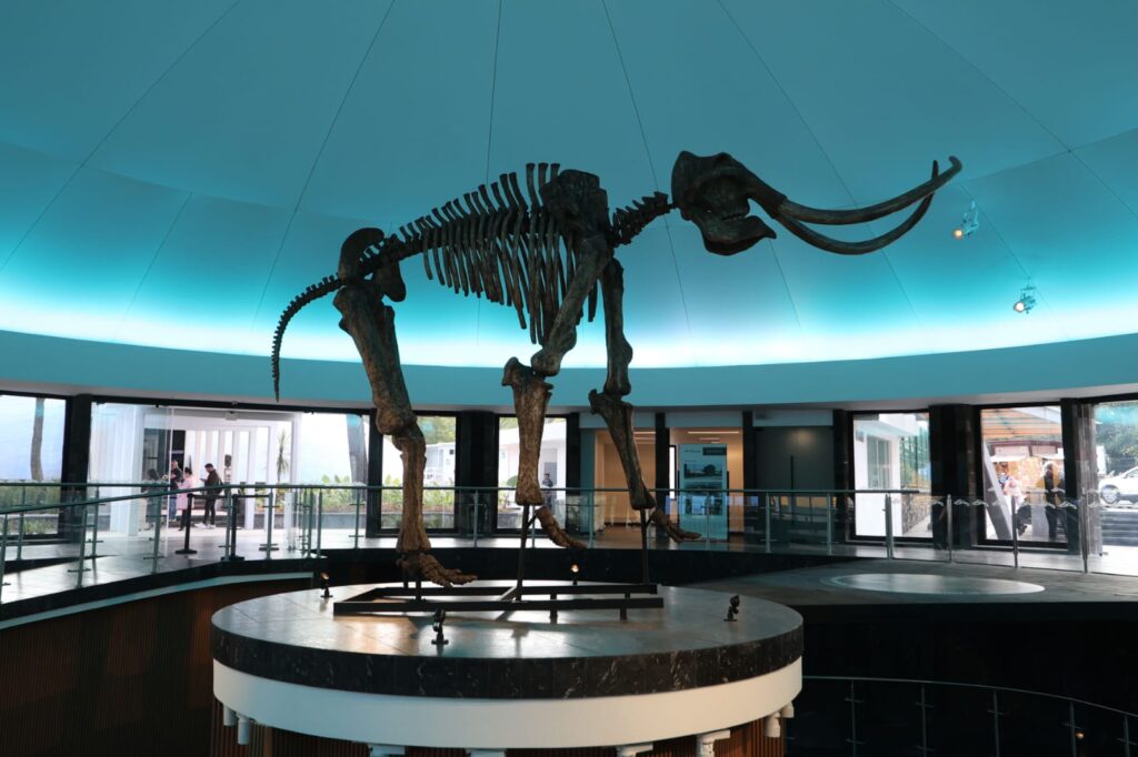 Museos Interactivos en CDMX: aprende y diviértete _ historia natural