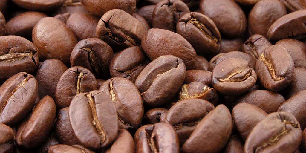La ruta del café en Veracruz inicia de la plantación a la taza