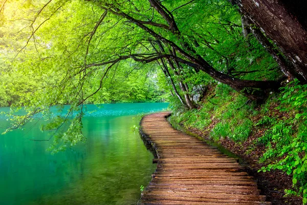 naturaleza